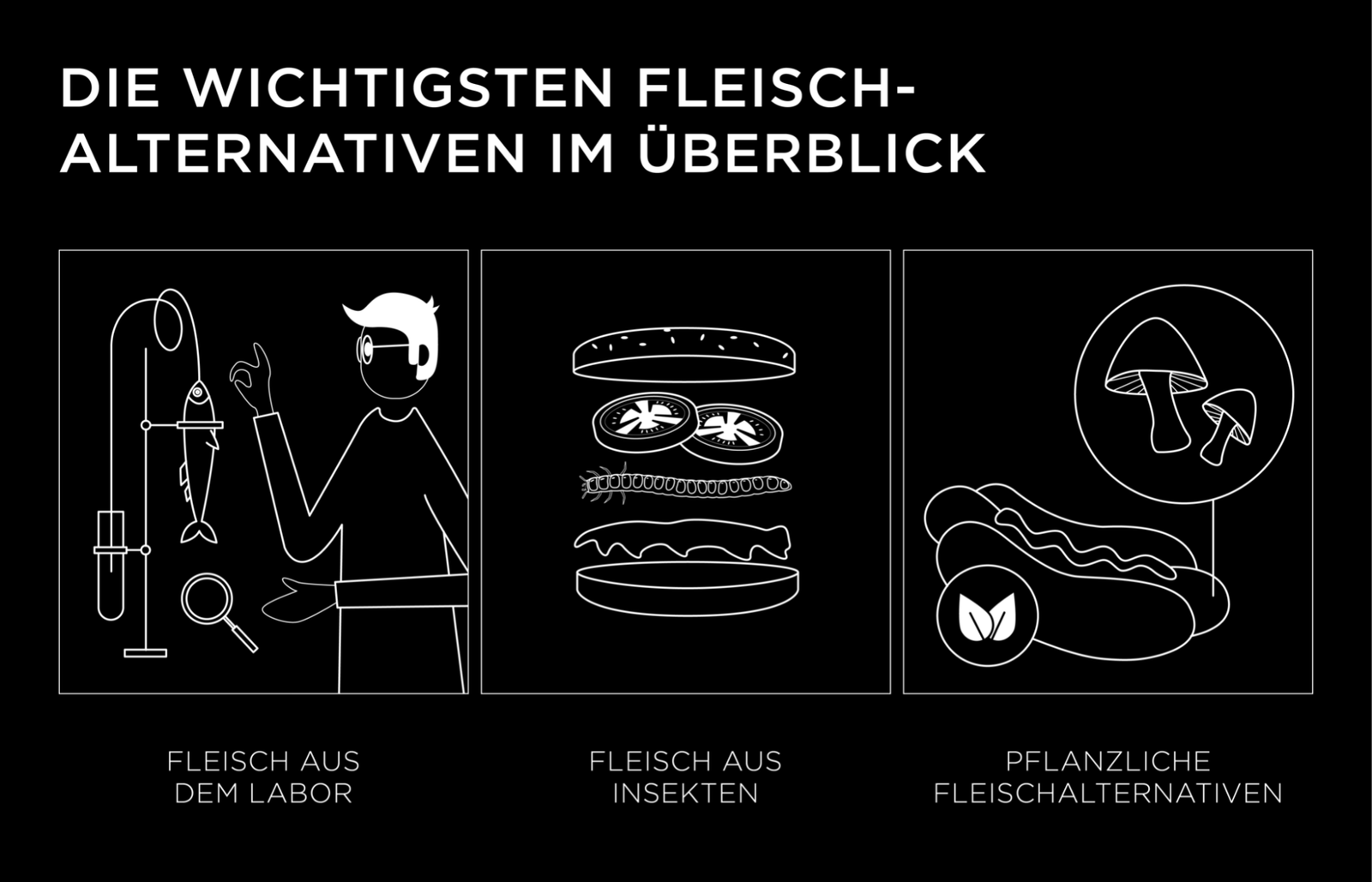 WAS Germany Infografik Fleischalternativen