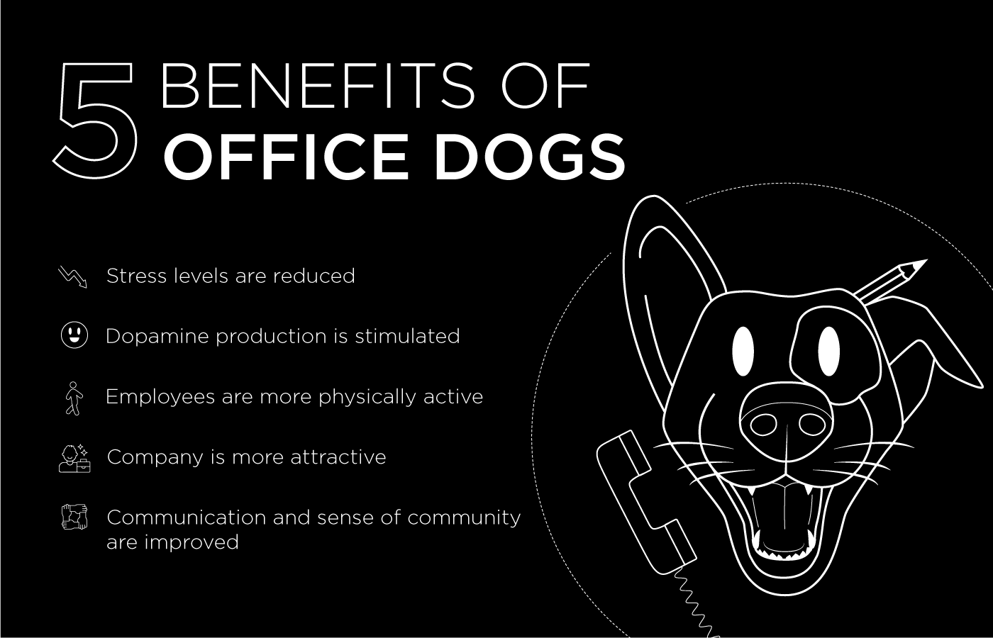 Five Reasons for Office Dogs