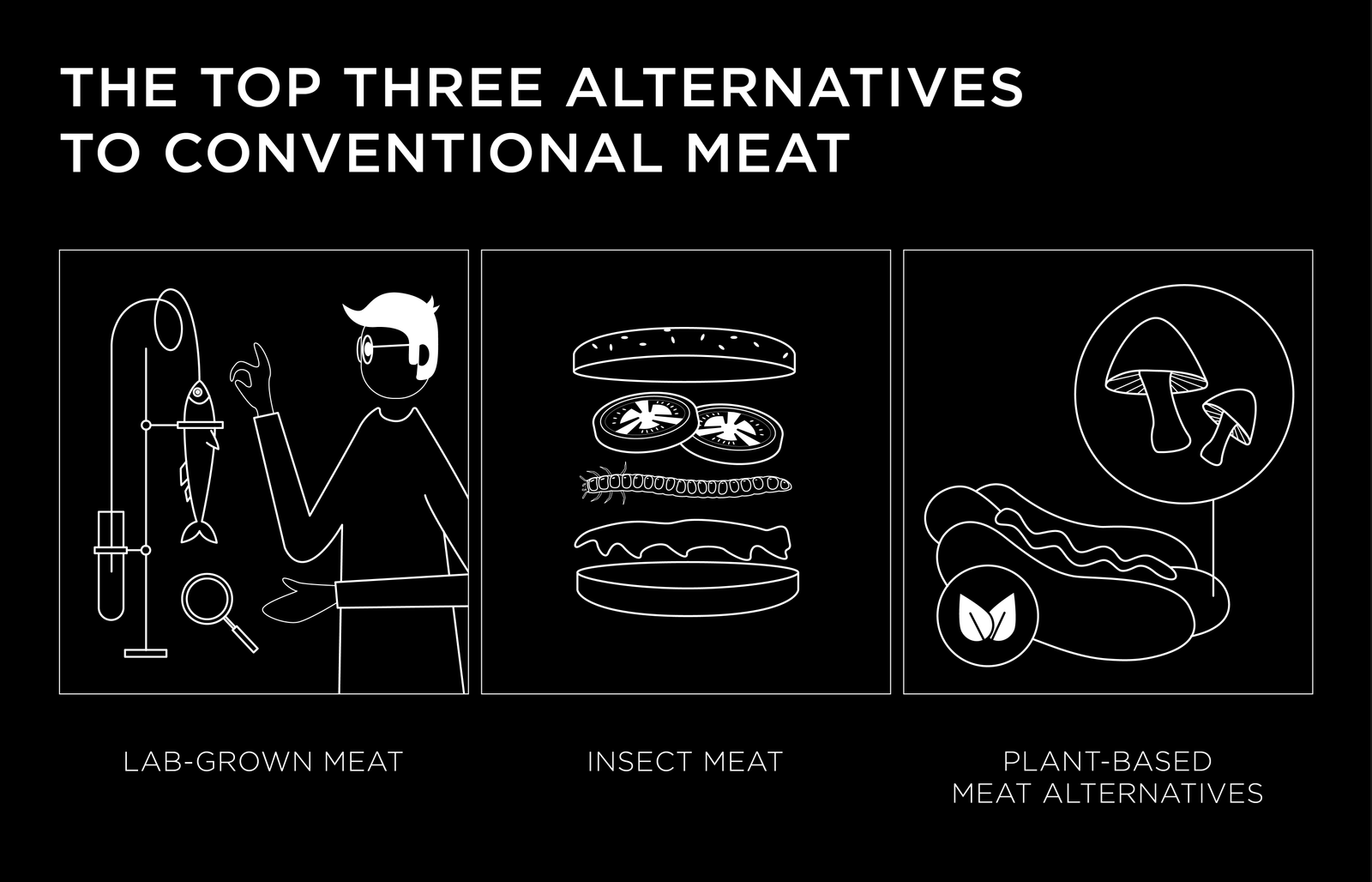 WAS Germany infographic about meat alternatives