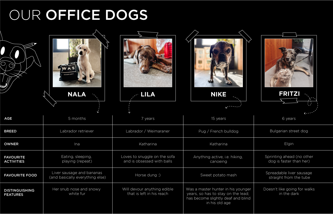 Introduction to our office dogs at WAS Germany