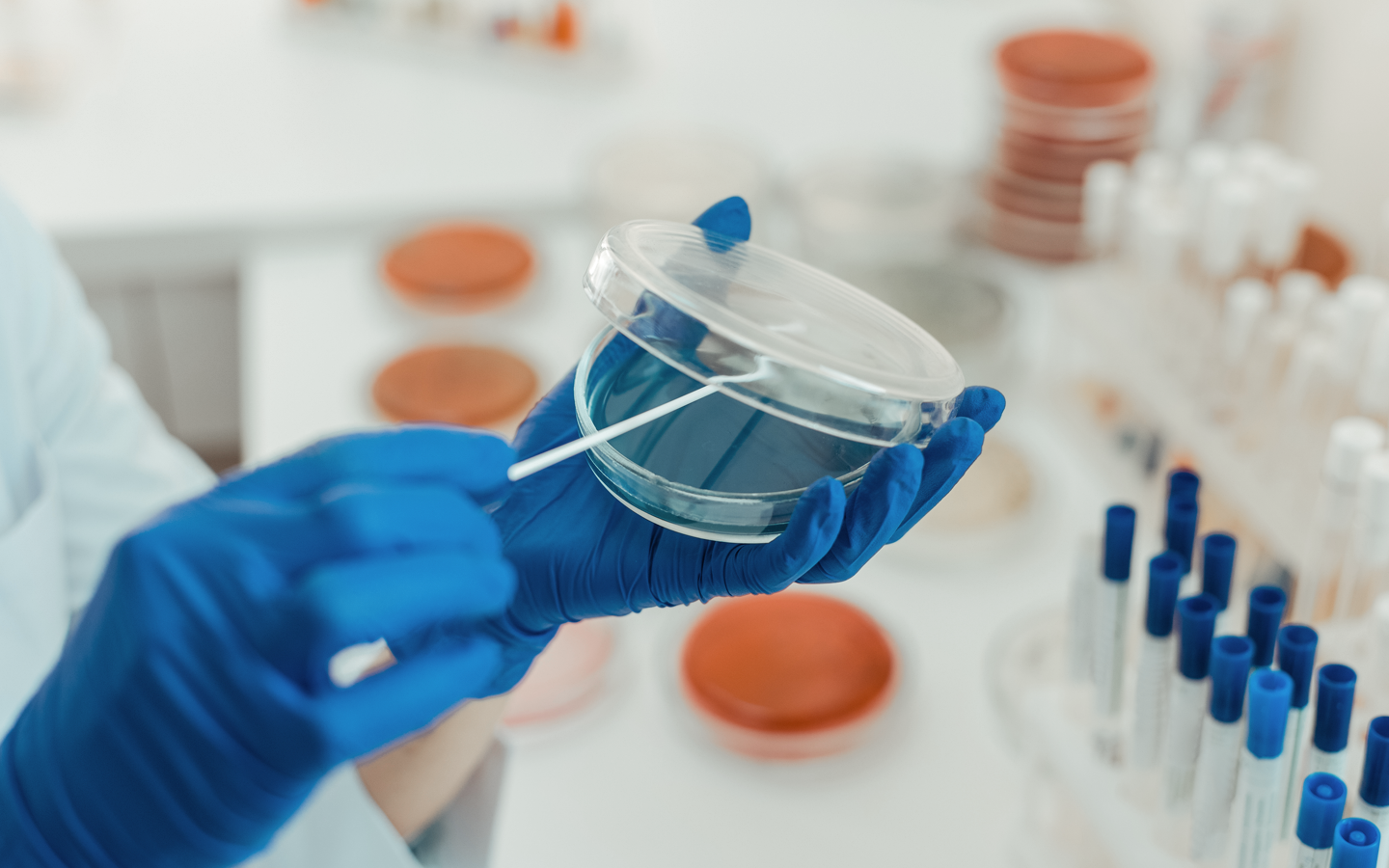 Preparation of In-Vitro meat in a laboratory