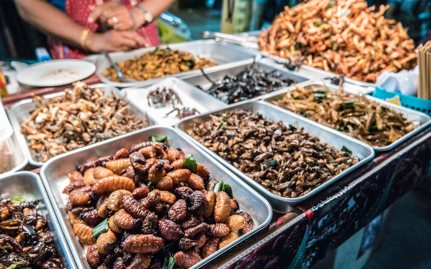 Crispy insects at a market